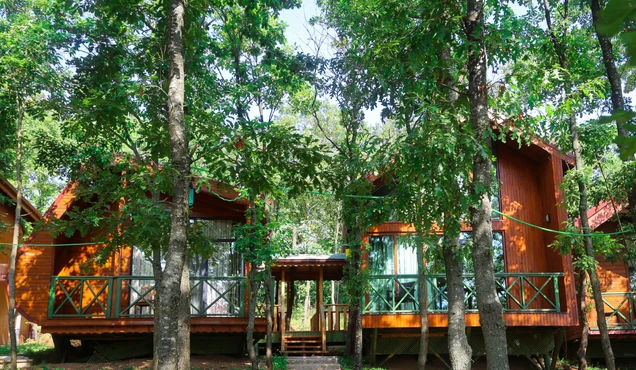 BUNGALOWS