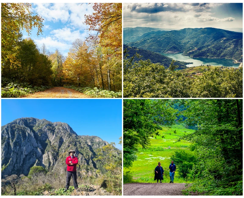 Embrace Nature at HK
